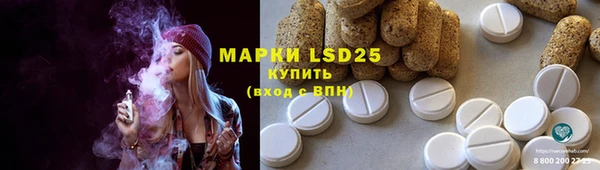 мяу мяу мука Гвардейск