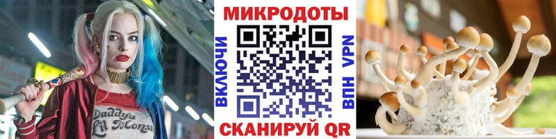 Псилоцибиновые грибы мицелий Бугуруслан
