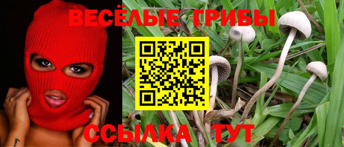 Галлюциногенные грибы мицелий  Вход с VPN  Бугуруслан 