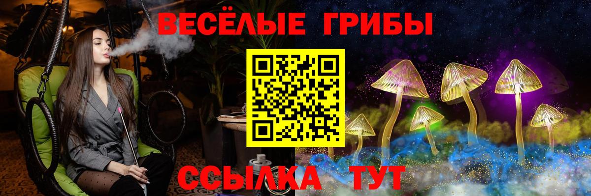 Псилоцибиновые грибы Psilocybe Бугуруслан