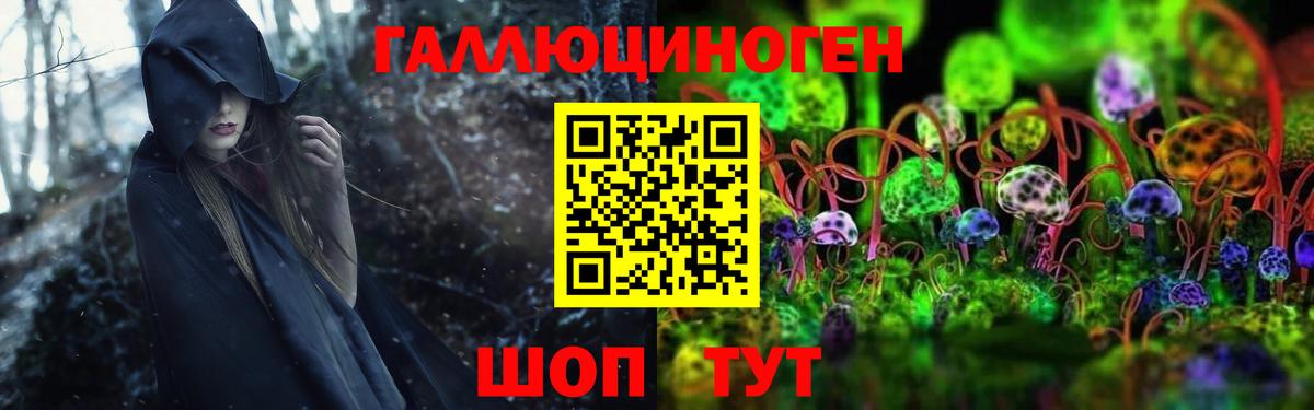 Галлюциногенные грибы Psilocybe Бугуруслан